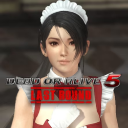 Dead Or Alive 5 Last Round