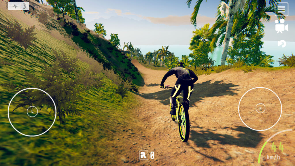 Descenders