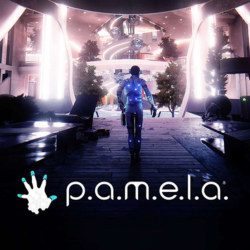 P.A.M.E.L.A.