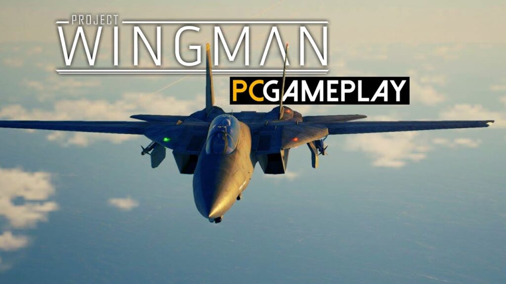 Project Wingman