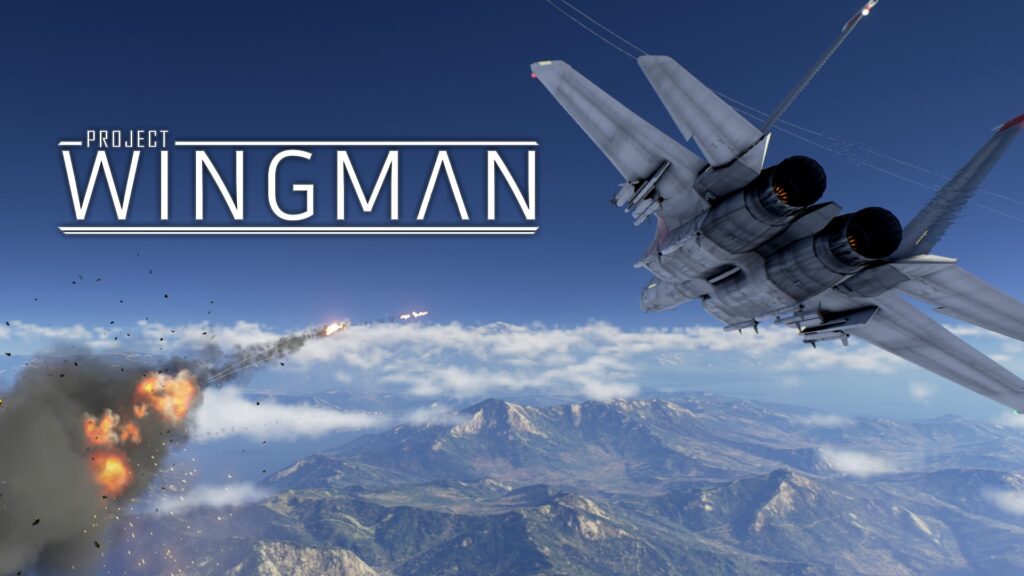 Project Wingman