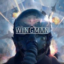 Project Wingman