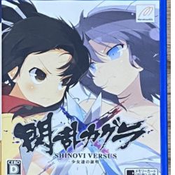 SENRAN KAGURA SHINOVI VERSUS