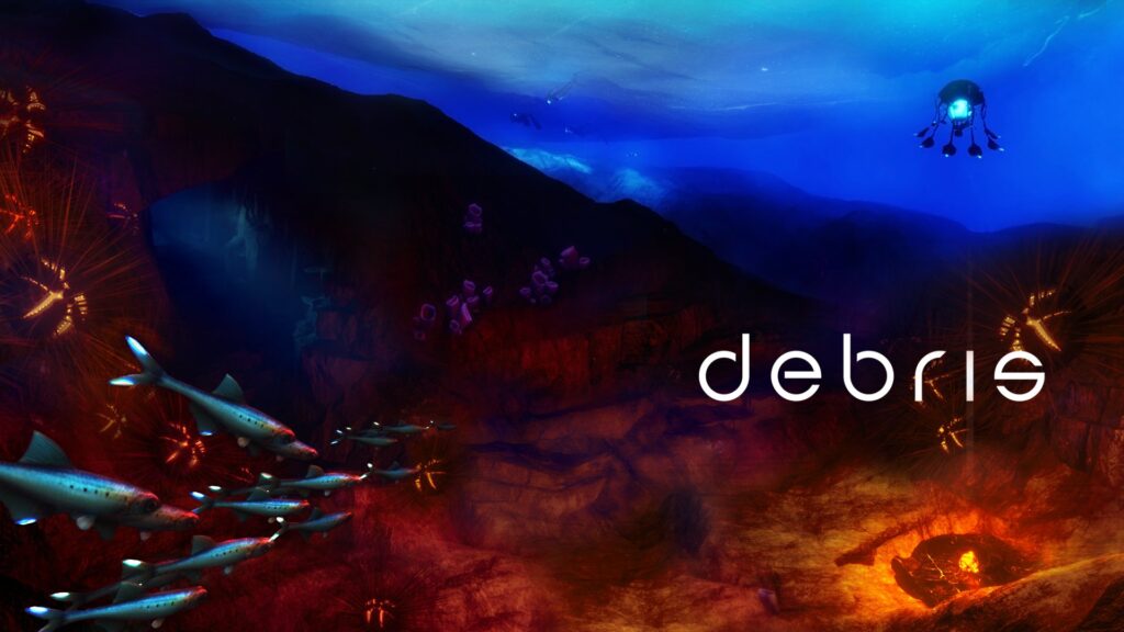debris 