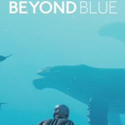 festuca beyond blue